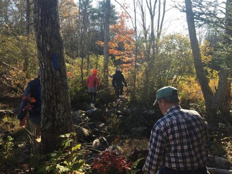 Explore Sucker Brook Trail with Belfast Bay Watershed, Oct. 5.